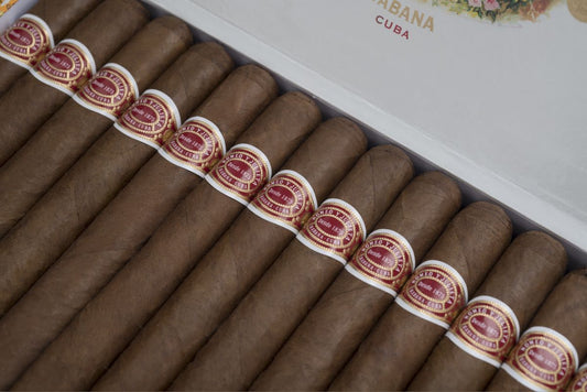 Romeo Y Julieta Mille Flueurs - Cuban Cigar